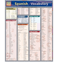 Chart Spanish Vocab