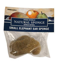 Sponge Elephant