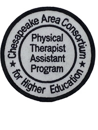 Pt Asst Patch