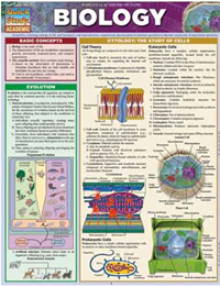 Biology Chart