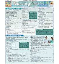 Image of Nursing Surgical Chart