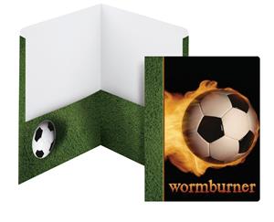 Image of Folder, Raditude, 2Pkt