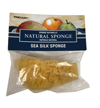 Sponge,Sea Silk