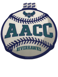 Hawks Baseball Sticker