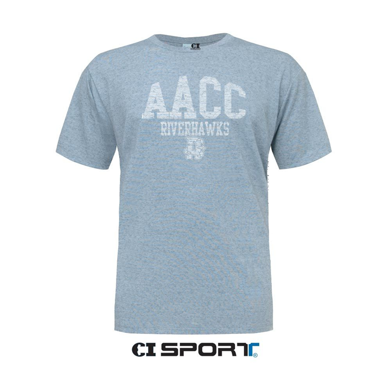 Anne Arundel Balmer Grey-Sm