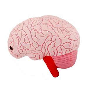 Image of GIANTmicrobes - Brain