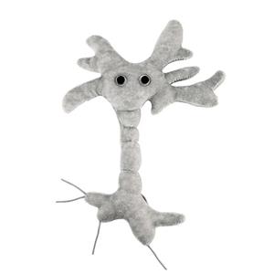 Image of GIANTmicrobes - Brain Cell (Neuron)