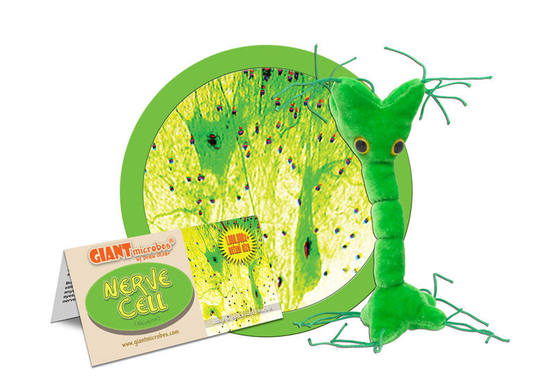 Giantmicrobe-Nerve Cell