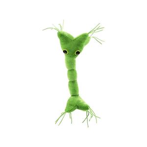 GIANTmicrobes - Nerve Cell (Neuron) - main view