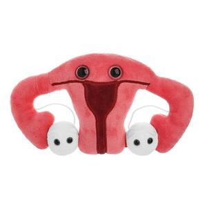GIANTmicrobes - Uterus - main view
