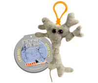 Brain Cell Keychain