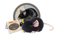 Giantmicrobes-Black Lab Mouse