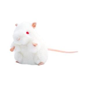 GIANTmicrobes - White Lab Mouse - main view