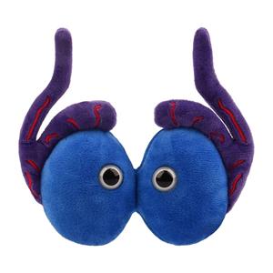 Image of GIANTmicrobes - Testicles