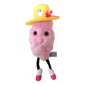 Image of GIANTmicrobes - Estrogen