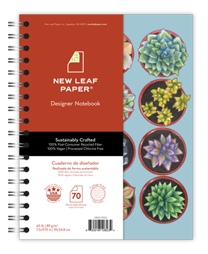 Image of Nlp, 1Sub, 9X7, Succulents