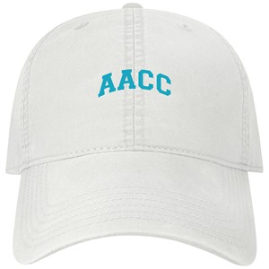 AACC Terra Twill Adjustable Hat - main view
