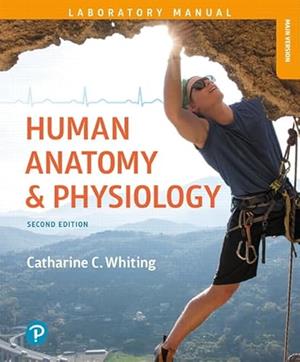 Image of Human Anatomy & Physiology Lab Manual: Making Connections, Main Version