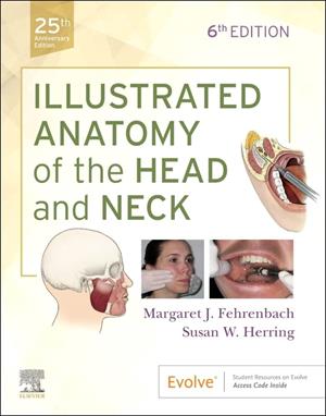 Image of Illustrated Anatomy of the Head and Neck