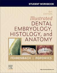 Image of Student Workbook for Illustrated Dental Embryology, Histology and Anatomy, 6th E