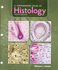 Image of Photographic Atlas Of Histology