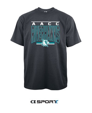 AACC RIVERHAWKS HEAVYWEIGHT TEE -  charcoal