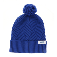 Image of BRIDGER BEANIES W/ POM -  royal