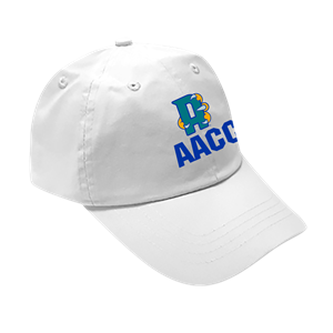 Image of CAP/TEE COMBO- SPRING 2025 -  1