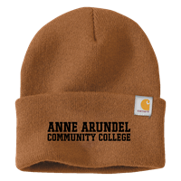 Image of CARHARTT BEANIE -  brown