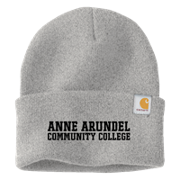 Image of CARHARTT BEANIE -  gray