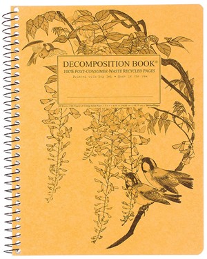 DECOMPOSITION NOTEBOOKS -  10