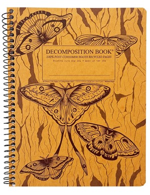 DECOMPOSITION NOTEBOOKS -  11