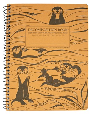DECOMPOSITION NOTEBOOKS -  12
