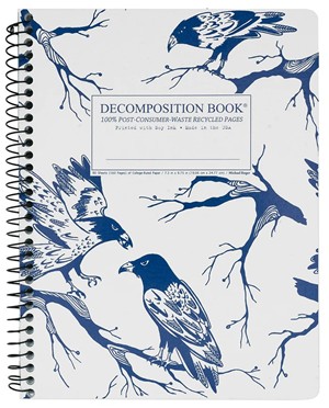 DECOMPOSITION NOTEBOOKS -  13