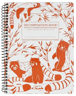 DECOMPOSITION NOTEBOOKS -  14