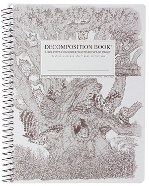 DECOMPOSITION NOTEBOOKS -  15