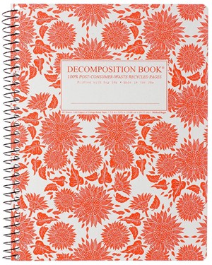 DECOMPOSITION NOTEBOOKS -  16
