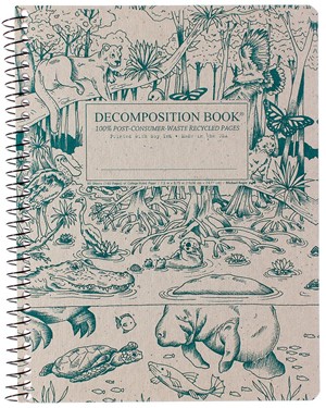DECOMPOSITION NOTEBOOKS -  3