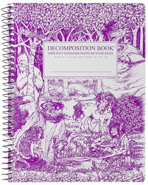 DECOMPOSITION NOTEBOOKS -  4
