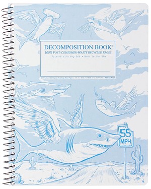 DECOMPOSITION NOTEBOOKS -  5