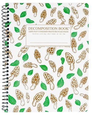DECOMPOSITION NOTEBOOKS -  6