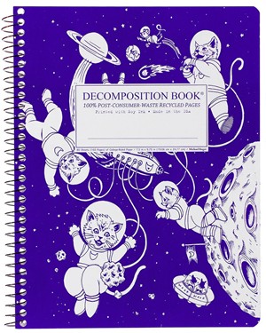 DECOMPOSITION NOTEBOOKS -  9
