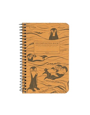 POCKET DECOMPOSITION NOTEBOOKS -  6